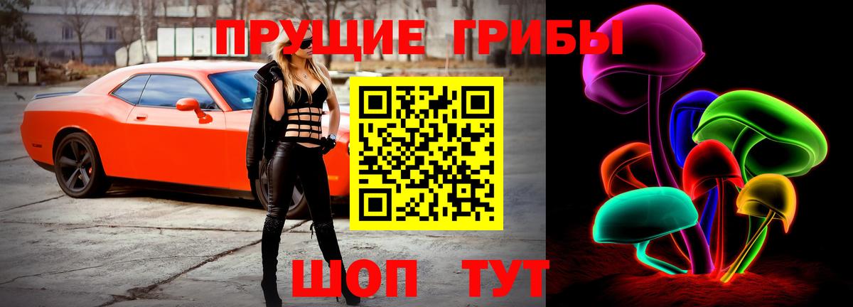 Тула  Галлюциногенные грибы MAGIC MUSHROOMS  Вход с VPN 